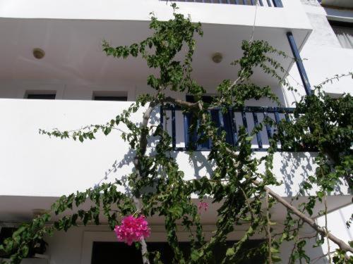 Bay Watch Aparthotel Karpathos Town  Exterior photo